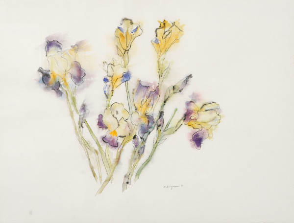 Iris by Katherine Burgman