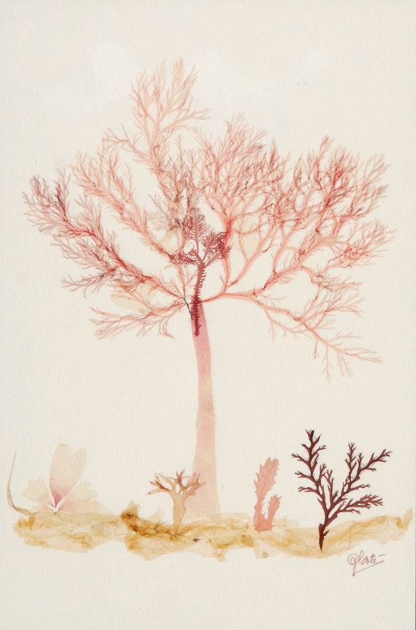 Arbre by Gertrude Cote-Malenfant