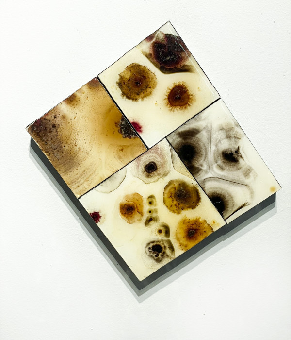 Contamination Series (No. 86) by Selin Balci