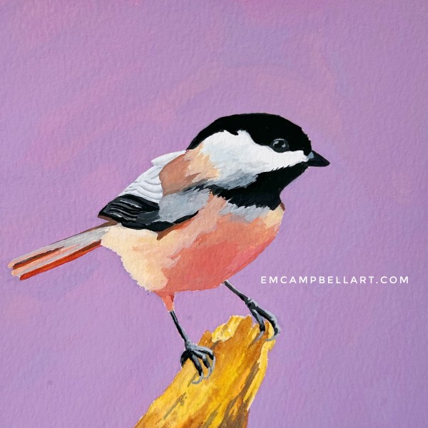 Carolina Chickadee by Em Campbell