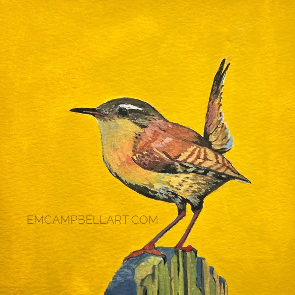 House Wren Sunset by Em Campbell