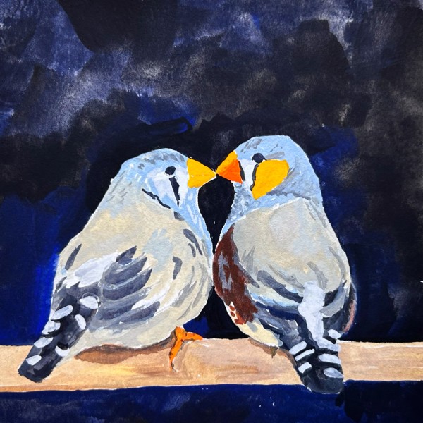 Zebra Finch Kiss by Em Campbell