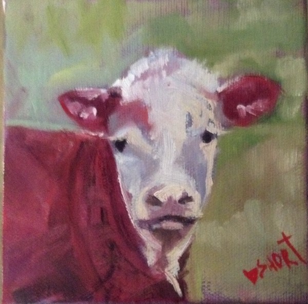 Bald Face Calf  by Brenda Short