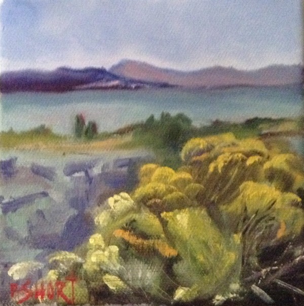 Rabbit Brush by Brenda Short