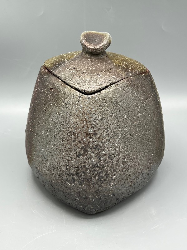 Lidded Vessel by Kenji Imanari