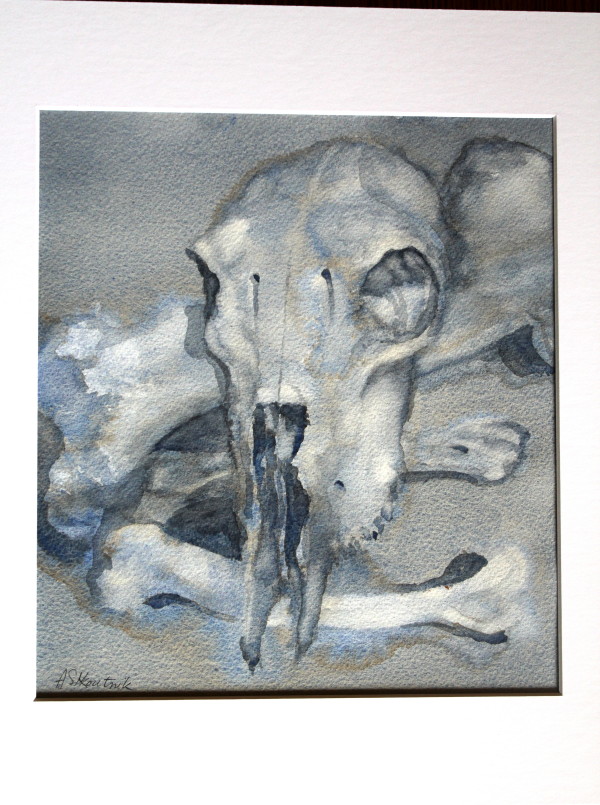 Skull