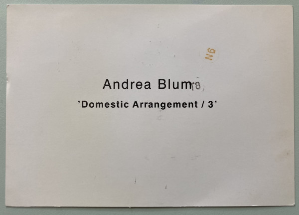 'Domestic Arrangement/3' Lumen Travo by Andrea Blum