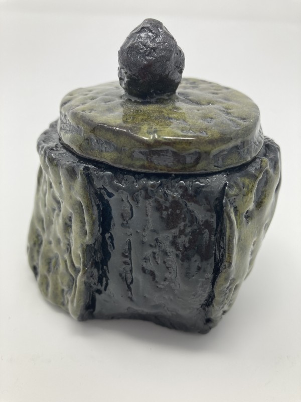 Mossy Tree Jar by Lynn Sisler