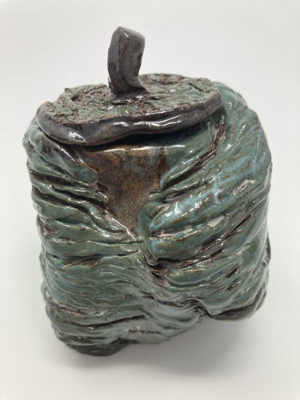 Nest Jar 5 by Lynn Sisler